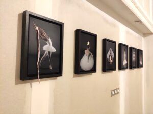 Art Exhibition ST Art Gallery POINTELESS